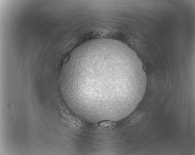 X0000060571105200511171624