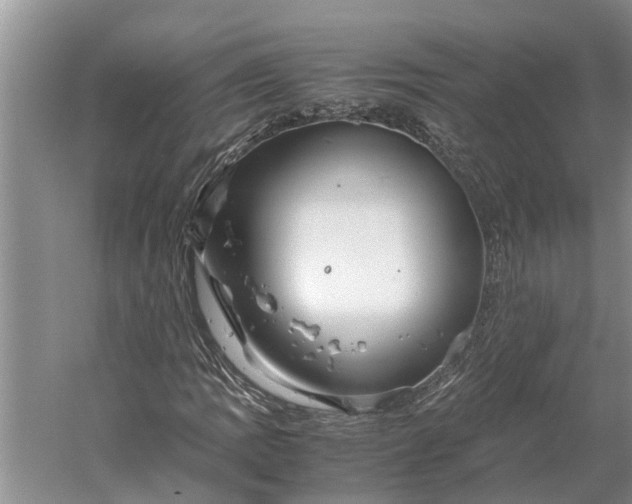 X0000060571109200511171624