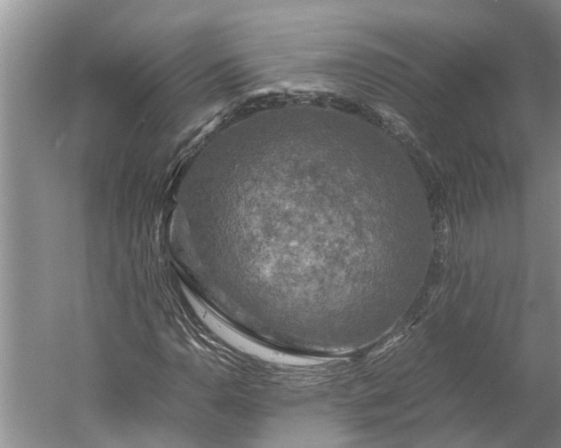 X0000060571110200511171624