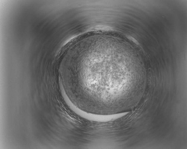 X0000060571112200511171624