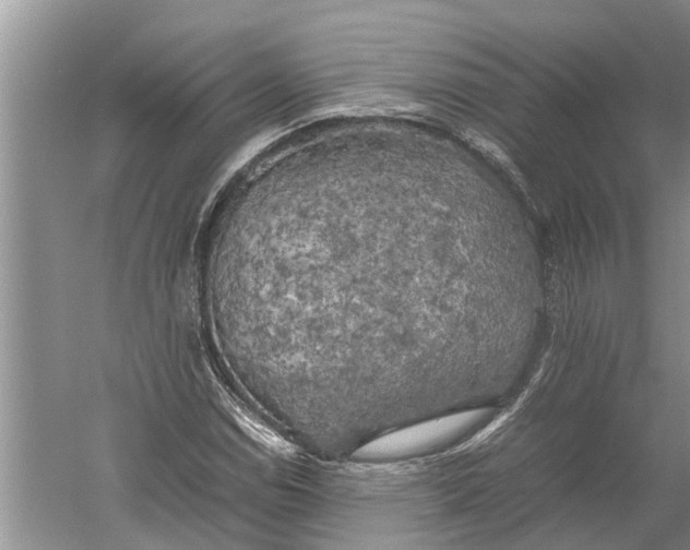 X0000060571114200511171624