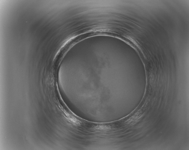 X0000060571115200511171624