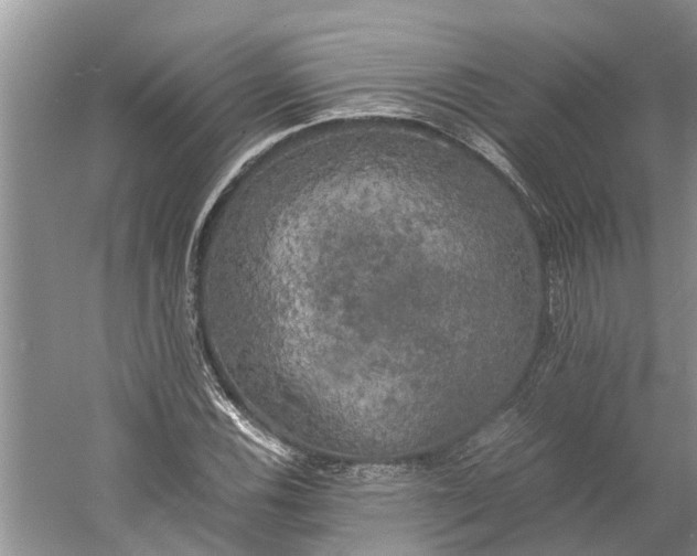 X0000060571116200511171624