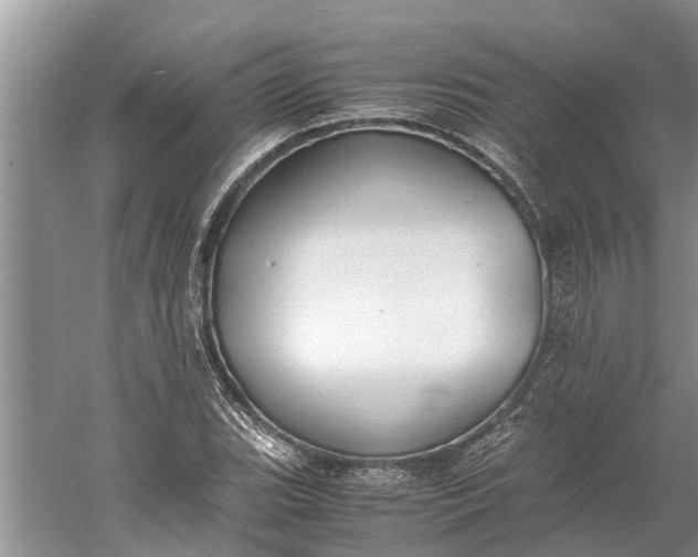 X0000060571119200511171624