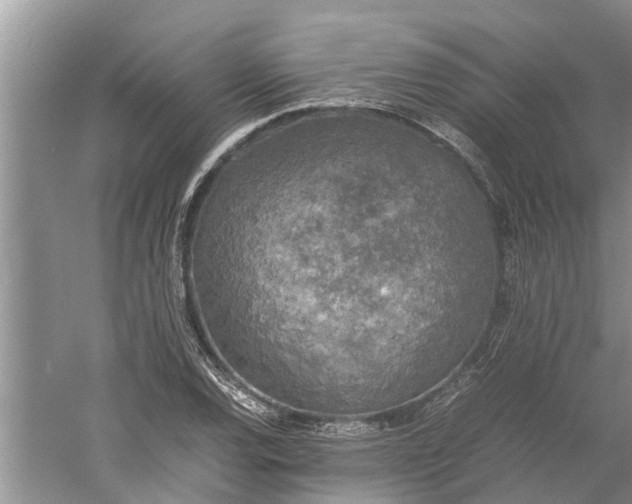 X0000060571120200511171624