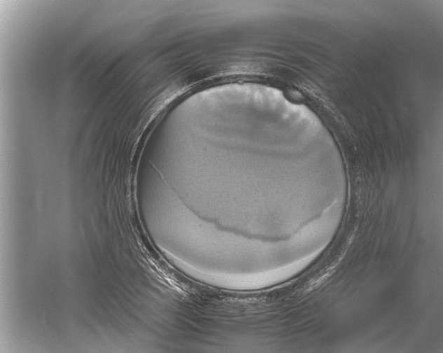 X0000060571121200511171624