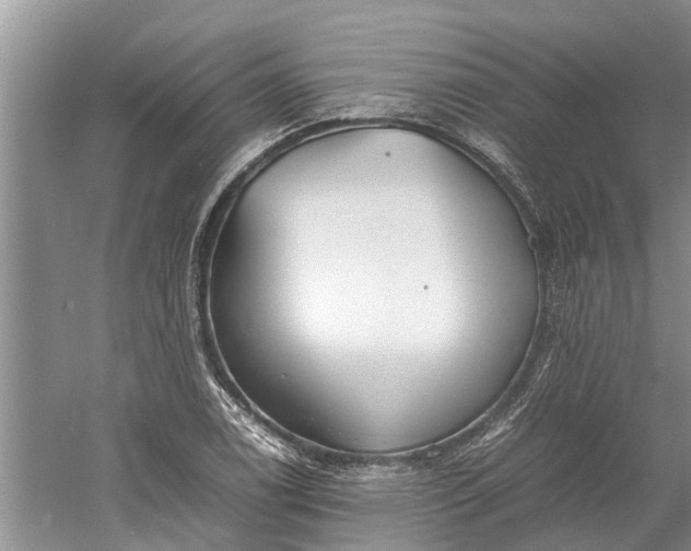 X0000060571122200511171624