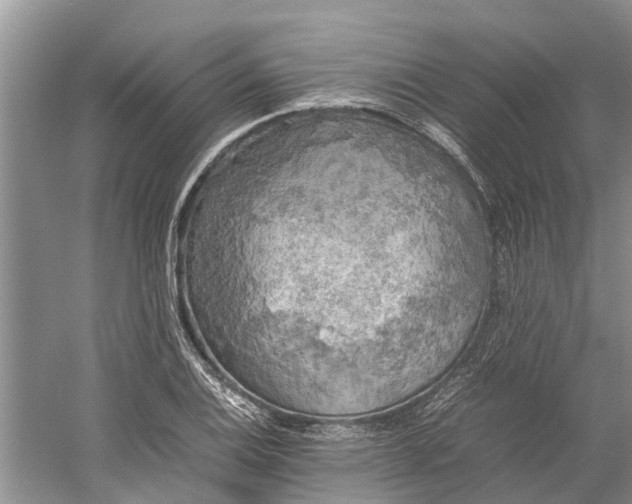 X0000060571124200511171624