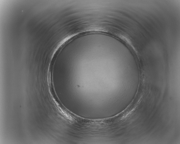 X0000060571125200511171624