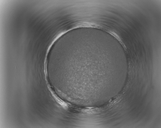 X0000060571128200511171624