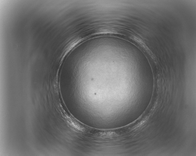 X0000060571129200511171624