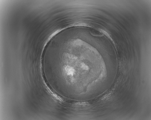 X0000060571133200511171624