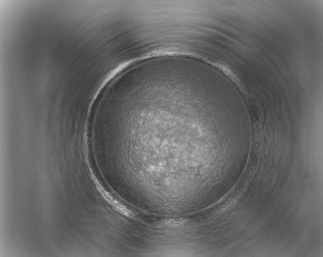 X0000060571134200511171624