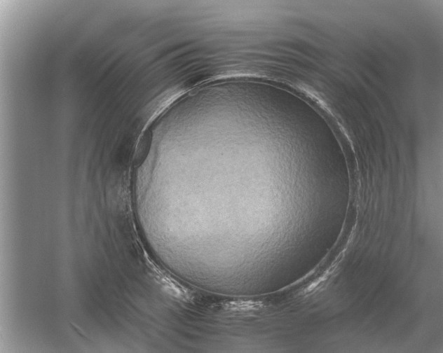 X0000060571137200511171624