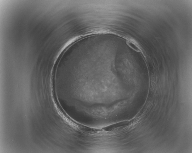 X0000060571142200511171625