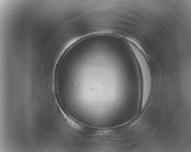 X0000060571143200511171625