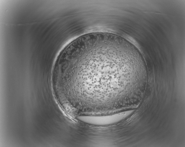 X0000060571144200511171625