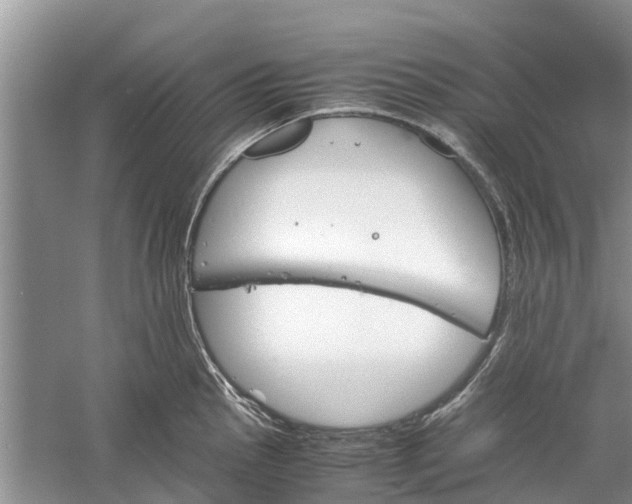 X0000060571145200511171625