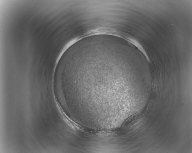 X0000060571146200511171625