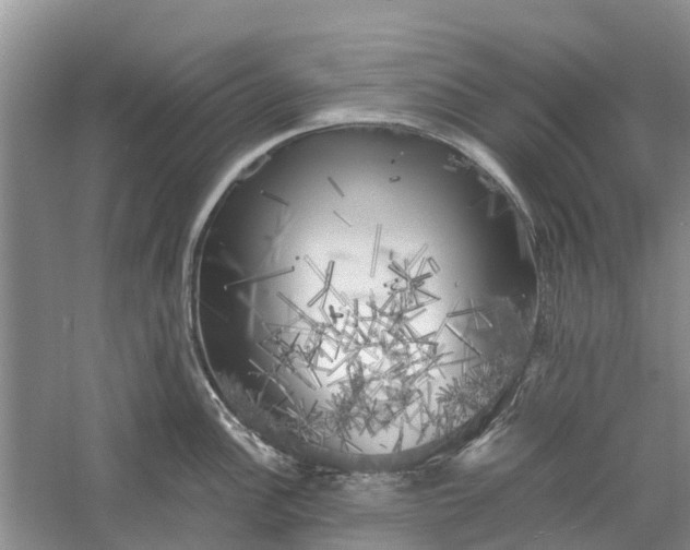 X0000060571148200511171625