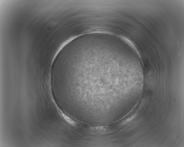 X0000060571149200511171625