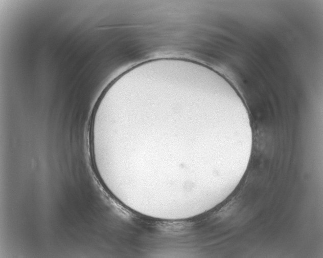 X0000060571150200511171625