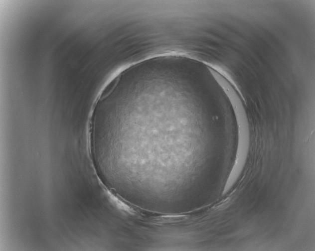 X0000060571151200511171625