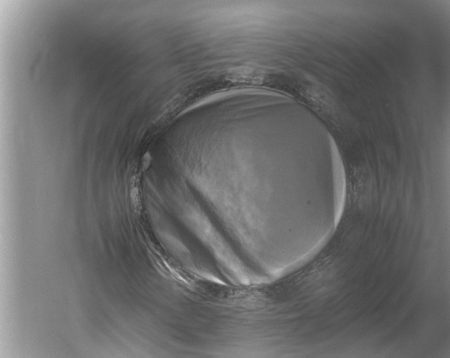 X0000060571154200511171624