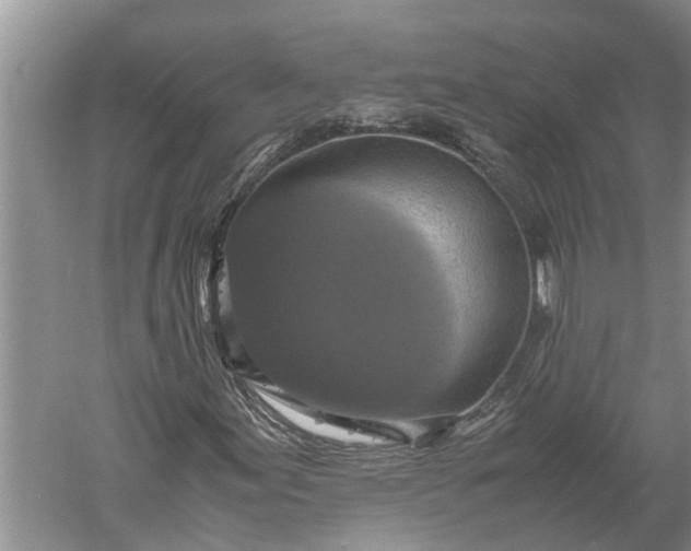 X0000060571155200511171624