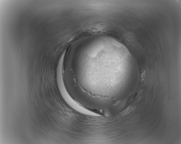 X0000060571156200511171624