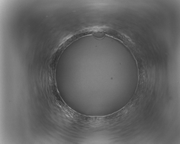 X0000060571158200511171624