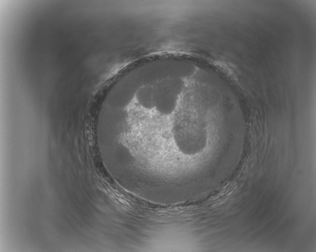 X0000060571159200511171624