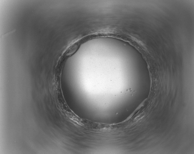 X0000060571160200511171624