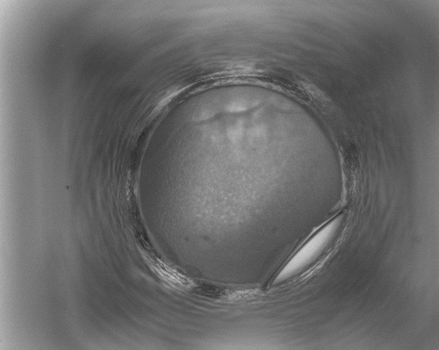 X0000060571161200511171624