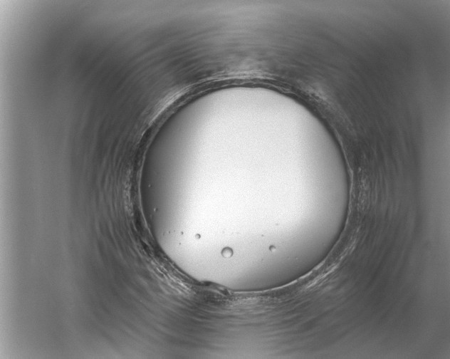 X0000060571162200511171624