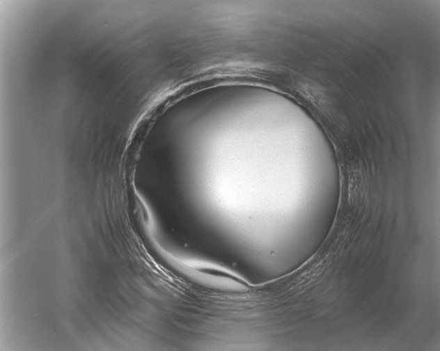 X0000060571164200511171624