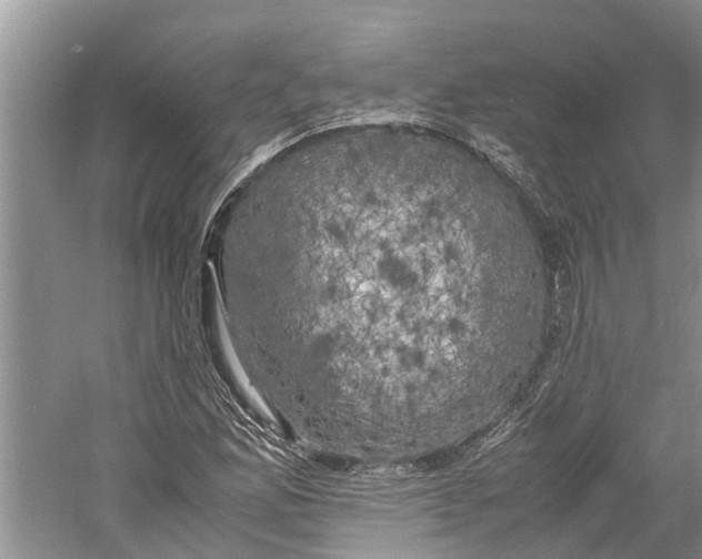 X0000060571165200511171624