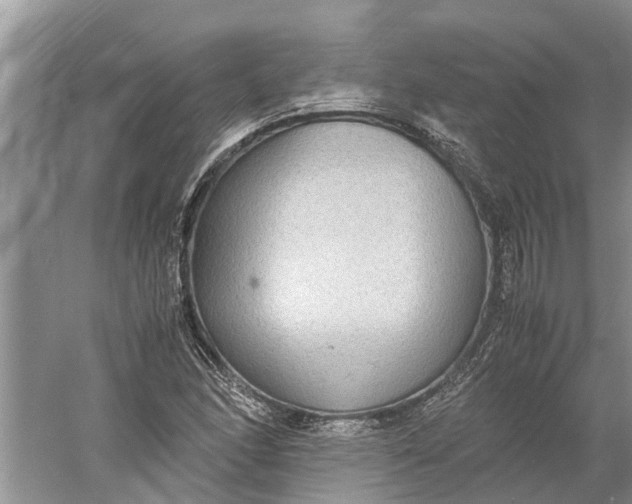 X0000060571166200511171624