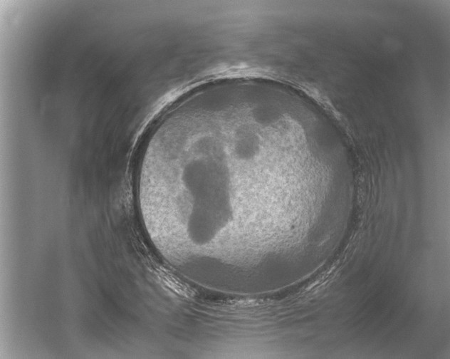 X0000060571167200511171624