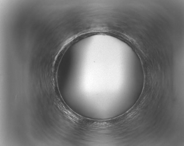 X0000060571168200511171624