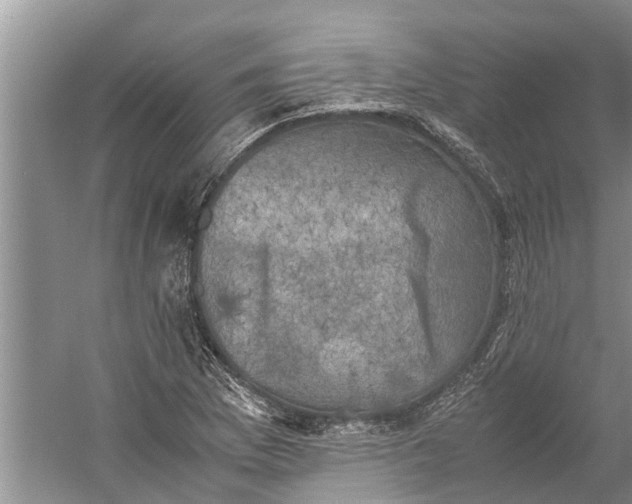 X0000060571169200511171624