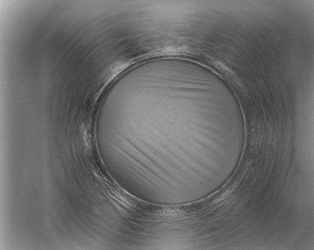 X0000060571170200511171624