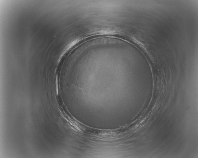 X0000060571171200511171624