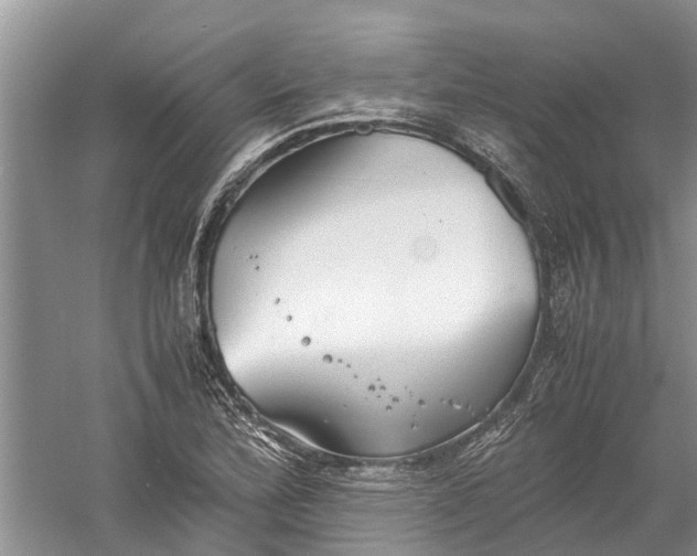 X0000060571172200511171624