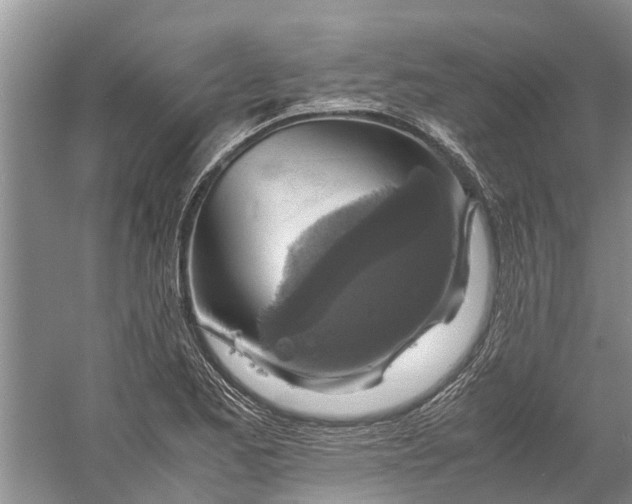 X0000060571173200511171624