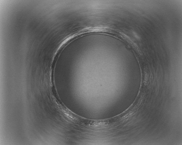 X0000060571174200511171624