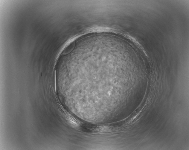 X0000060571175200511171623