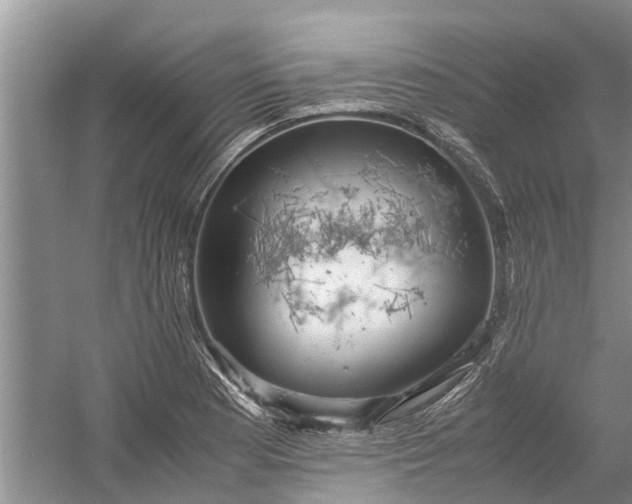 X0000060571177200511171623