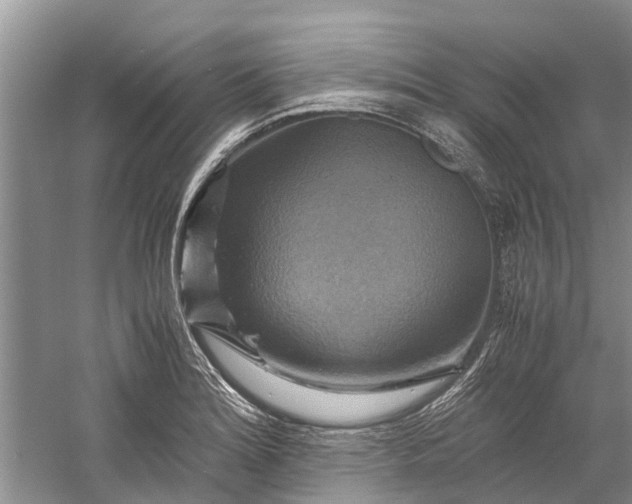 X0000060571180200511171623