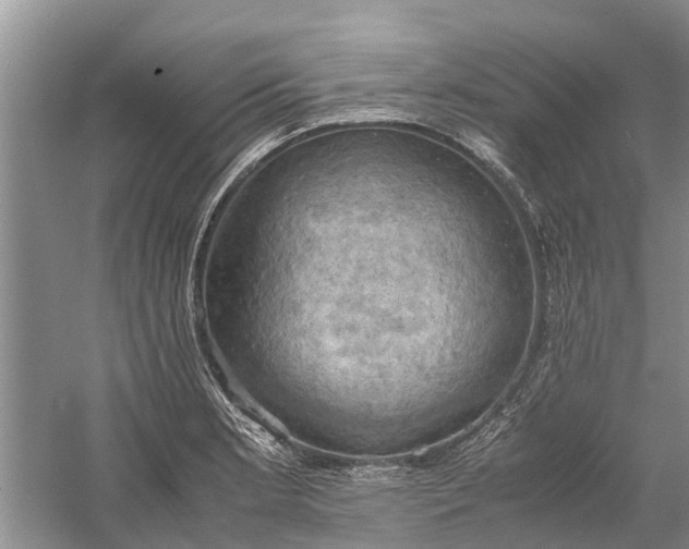 X0000060571181200511171623